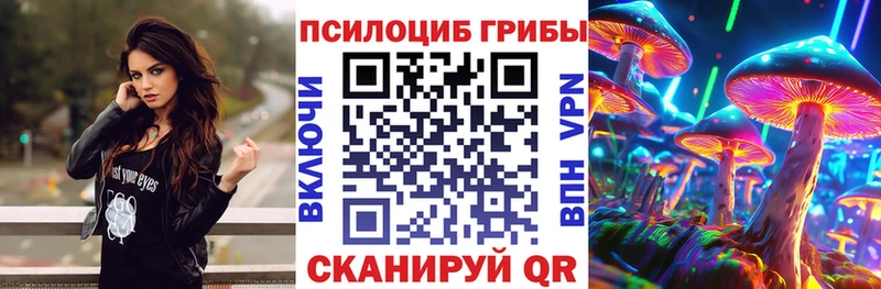 Купить закладки  Новошахтинск  Псилоцибиновые грибы Psilocybine cubensis 